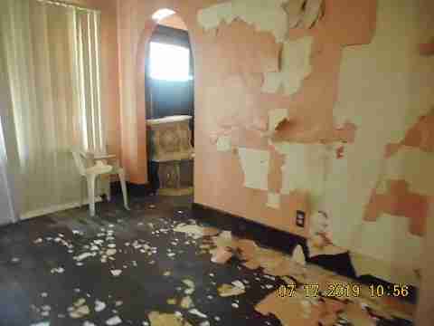 13117 Jane (13)_m.jpg